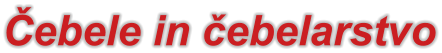 Čebele in čebelarstvo